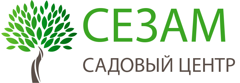 Главная Главная